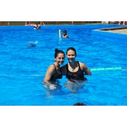 Colonia de Vacaciones 2010 - 2011